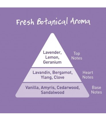 SALT OF THE EARTH ΑΠΟΣΜΗΤΙΚΟ VANILLA & LAVENDER 60g