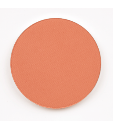 PITERAQ ΡΟΥΖ NUDE MAUVE ΜΑΓΝΗΤΙΚΟ 70E 4,5g